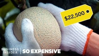 Why Japanese Melons Are So Expensive | So Expensive
