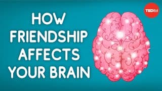 How friendship affects your brain | TED - Tình bạn ảnh hưởng đến não như thế nào