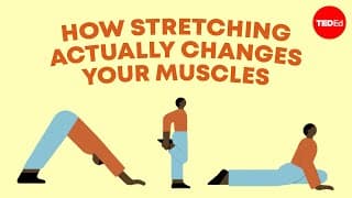 How stretching actually changes your muscles | TED - Việc giãn người ảnh hưởng thế nào đến cơ bắp của bạn
