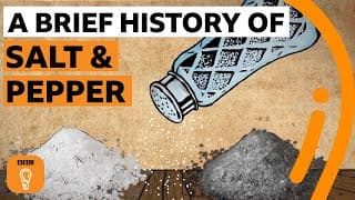 A brief history of salt and pepper | Edible Histories Episode 7 | BBC Ideas