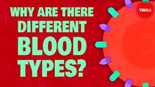 Why do blood types matter | TED - Những điều cơ bản về nhóm máu